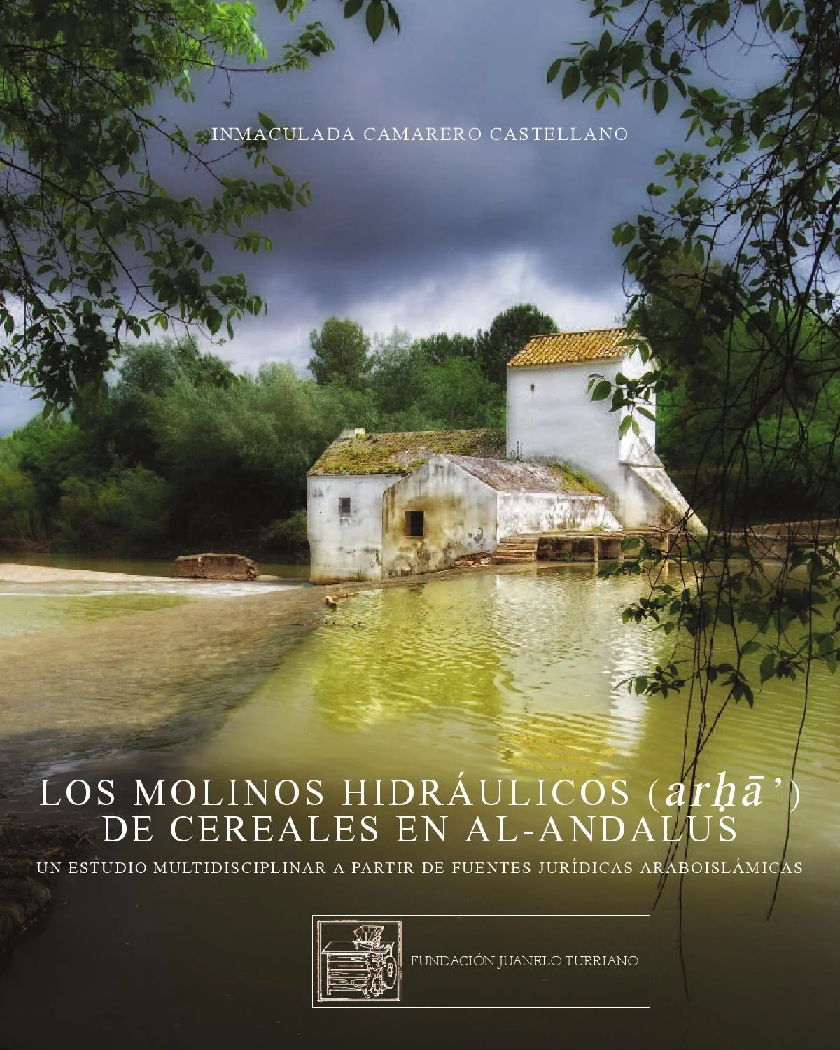 Libro Inmaculada Camarero